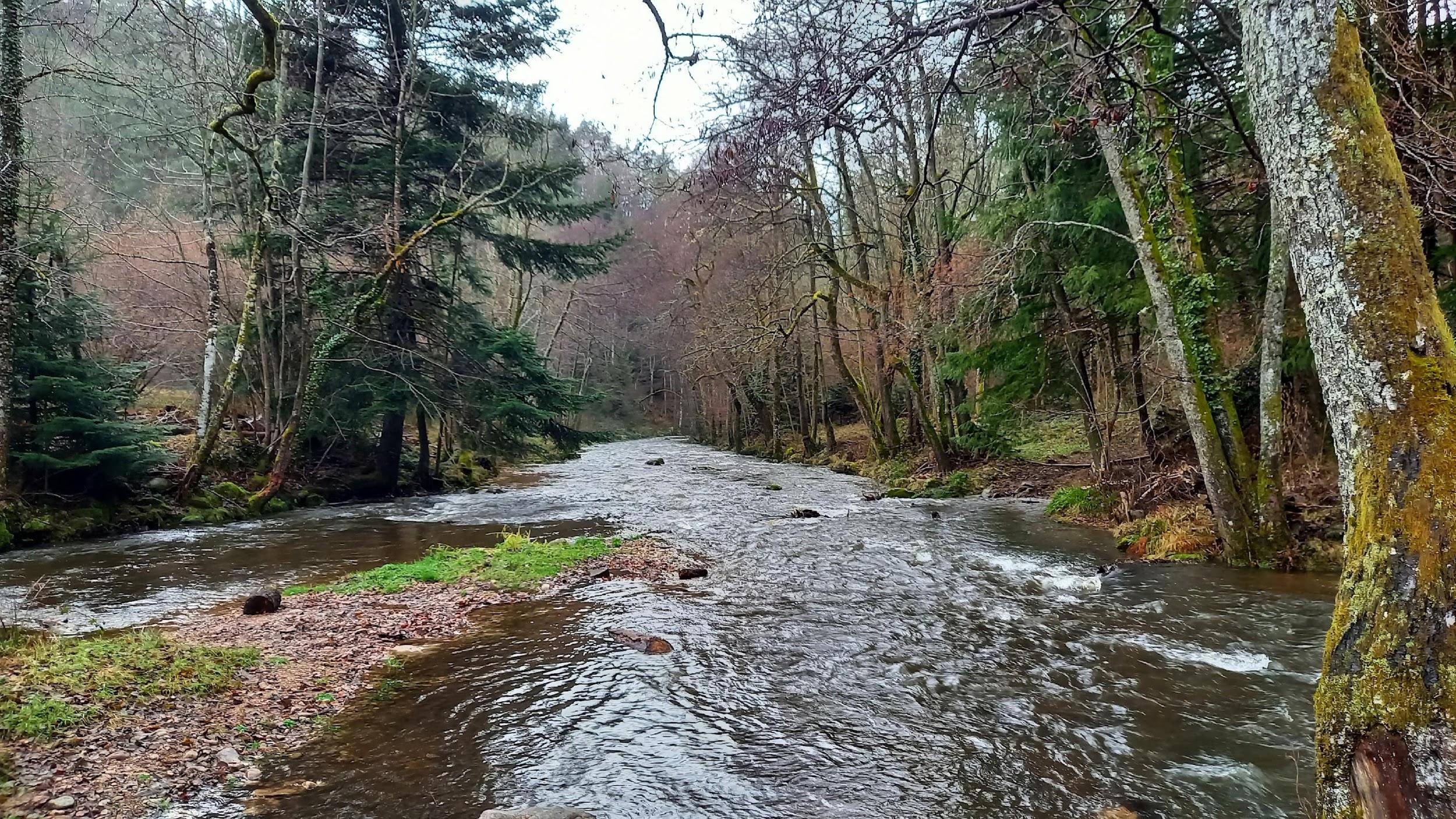 La Dunière